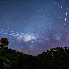 Starlinks is a leading logistics and supply chain solutions company in the kingdom of saudi arabia. Elon Musk S Starlink Satellites Are Interfering With Astronomy It S Just The Beginning Vox