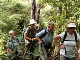 Trip Reports January-February 2016