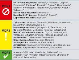 pin auf afghanen farben