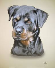 Eigener hund,portrait ,hund nach foto,hund malen lassen,kunst hun. Leipzig Portraitmaler Portraitzeichner Portrait Vom Foto