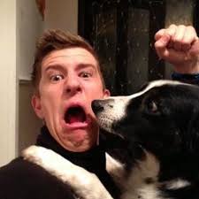 Chris boyes (@chrisboyes14)