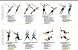 Trx Workout Plan For Beginners