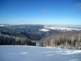 Check spelling or type a new query. Statiunea Paltinis Judetul Sibiu Ghid Turistic Romania