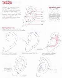 Comic Art Reference The Ear Step By Step But then i forgot to give her ears #ive been very inconsistant. comic art reference the ear step by