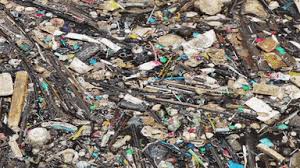 Social media platforms like tumblr thrive on them, and a single gif reaching viral status can have a. Plastic Pollution Gifs Get The Best Gif On Giphy