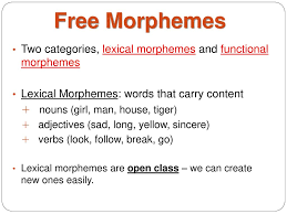 Check spelling or type a new query. An Introduction To Language Ppt Download