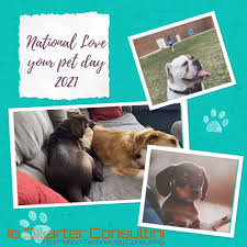 Check spelling or type a new query. No Quarter Consulting Happy National Love Your Pet Day 2021 Facebook