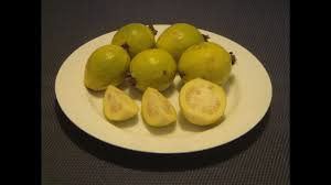 Generally, red or pink guava is picked when the peel turns from light green to yellow. Guava Fruit How To Eat Mini Guava Youtube