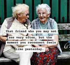 These first quotes are all about friendship and what friends mean to you. 80 Friendship Quotes That Prove Distance Only Brings You Closer Old Friend Quotes Friends Quotes Funny Friends Quotes