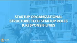 It can also describe an internal structure that focuses more on open communication and. Startup Organizational Structure Tech Startup Roles Responsibilities