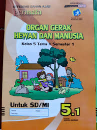 Namun sebelum menggunakan jawaban soal tema 1 kelas 5 yang kami berikan ini, sebaiknya cobalah dulu mencari jawaban sendiri, kemudian sesuaikan dengan jawaban yang ada di sini. Distributor Supplier Jual Lks Sd Mi Semester 1 Merk Permata Kelas 5 Tema 1 Best Choice Book Store