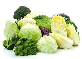 Image result for Brassica