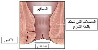 د أحمد رياض أخصائى الجراحه العامه وجراحة المناظير posts facebook