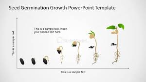 Powerpoint Timeline In Cartesian Axis With Seed Germination