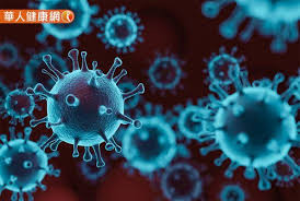 Delta变体病毒的快速传播在广东省中心引发病例激增之后，导致广州部分地区实行了严格的 足不出户 的措施——广州是中国第三大城市，有1300多万人口，也是悉尼的姊妹城市。 悉尼的姊妹城市。 病人在出现症状仅三四天内就转为危重或者重症了，当地救治组的一名专家张忠德告诉中国国家媒体。 Wcvr2zizrdxvnm