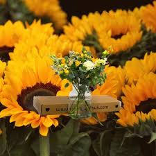 Yellow Is The Colour Of Happiness Sunshine And Sunflowers For A Sneak Peek At What Is In This Week S Flower Boxes Visit Ixiafl Video In 2020 Flower Boxes Flowers Sunflower