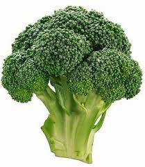 Love your melon is an apparel brand dedicated to giving a hat to every child battling cancer in america. What Lovely Melons And The Epo Wants You To Know About Them The Ipkat