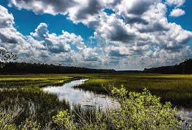 Published on july 28, 2021 in lowcountry life by newsbyte. Lowcountry South Carolina Photograph By Brian Sauls