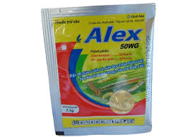 Alex 50WG