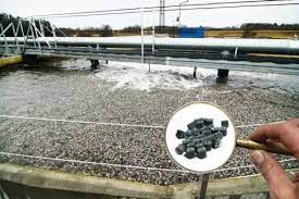 Alltech Coppens The Importance Of A Moving Bed Filter In Ras