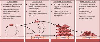 Image result for Platelet Function Closure Time