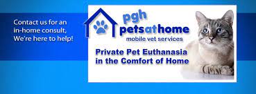 Please click the link for more information about our updated policies and procedures. Pittsburgh Pets At Home Home Facebook