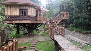 We are within a wooden park of 14ha, royal safari garden offers a wide display of living animals and activities ranging from. Keren Ada Rumah Pohon Yang Dilengkapi Perosotan Di Puncak Bogor