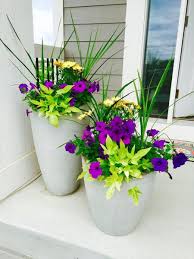 Fleurs Exterieures Fleurs Exterieures Jardinage En Pots Decoration Jardin