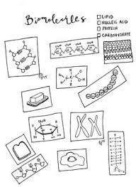 Biochemistry Tests For Food Macromolecules Carbohydrates Pin On Biology And Other Sciences