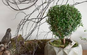 Der elegante fuß verleiht dem design eine raffinierte note und sorgt für einen stilvollen touch in ihrem zuhause. So Dekoriert Ihr Pflanzen In Ubertopfen Ganz Naturlich Und Einfach Mrs Greenery