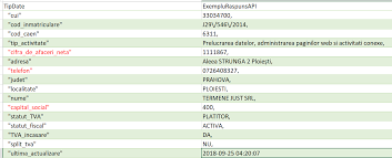 În noiembrie 2009 companiile străine dețineau o pondere de circa o treime din cifra de afaceri totală de 250 miliarde de euro a companiilor din românia și un număr de 760.000 de salariați, adică 17% din totalul angajaților din economie. Api Date Generale