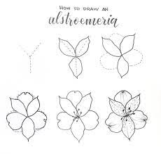 Pin By Atalia Nogueira On Art Flower Drawing Tutorials Flower Drawing Lilies Drawing