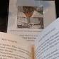 Silent Book Club meeting event in Rapaura
