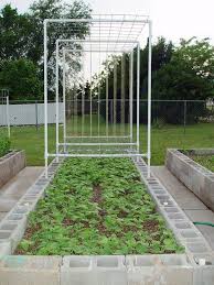 Concrete Block Raised Bed With Pvc Trellises How This Gardener Made And Installed The Trellises Garten Pflanzen Betonblock Garten Garten Ideen
