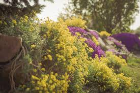 Pin On Gardening Tricks And Ideas