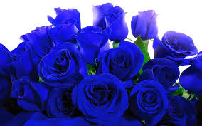 Para conocer el significado de las rosas azules hay que realizar un pequeño viaje en el tiempo, concretamente hasta la época del. Emisoras Unidas Este Es El Significado De Las Rosas Segun Su Color