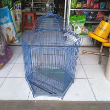 Sangkar burung di rumah dan sangkar burung lomba, sebenarnya sama saja. Sangkar Burung Kacer Shopee Indonesia