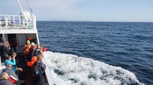 Image result for Warneckea walikalensis