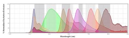 Spectral Cytometry