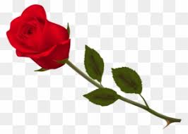 Weitere ideen zu wasserfarbenblumen, aquarell, wie man blumen malt. Mit Blumen Danke Rosen Blume Postkarte Free Transparent Png Clipart Images Download