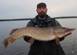 Check spelling or type a new query. Johnson Silver Minnow Wawang Lake Resort