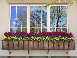 Maybe you would like to learn more about one of these? Ready For Spring 14 Pretty Window Box Ideas Window Box Flowers Flower Boxes Gorgeous Window Boxes