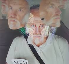 Joachim Michael Feigl Archive