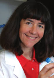 February 2013 In This Issue