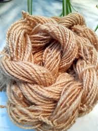This bark is very nutritious and has been used in a porridge type consistency to feed when the ill person is unable to keep any food down. Natural Dyeing With Apple Tree Bark Dawn S Dress Diary