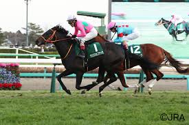 ソダシは真っ白で綺麗な馬です。 真っ白だからこそ、その馬体をより綺麗に見て欲しい…という想いから、 わざわざ真っ白面子に変えていたそうです。 確かに。 私達がソダシの光輝く姿を見るには 真っ白面子の方がより美しく見えますね。 Jra æ—¥æœ¬ä¸­å¤®ç«¶é¦¬ä¼š æ—¥çµŒæ–°æ˜¥æ¯ Gii ã¯ ãƒ¢ã‚ºãƒ™ãƒƒãƒ­ãŒåŠ›å¼·ãä¼¸ã³ã¦ ä»–é¦¬ã®è¿½æ'ƒã‚'æŒ¯ã‚Šåˆ‡ã£ã¦ãã®ã¾ã¾ã‚´ãƒ¼ãƒ« Facebook