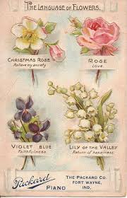 Maybe you would like to learn more about one of these? Sunday Treat Learning To Speak The Language Of Flowers Flower Meanings Language Of Flowers Raindrops And Roses