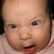 Caleb Jason Cuff (@CJCUFFFAKE)