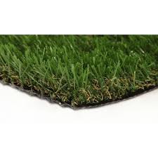 Pin On Gardening