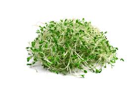 Coinbase was valued at $68 billion in a recent private market transaction, about 53 times its revenue in 2020. How To Grow Sprouts Heather Reseck Vegetables